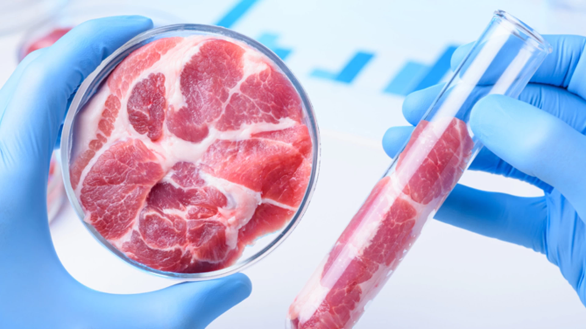 I rischi del cibo sintetico. Continua la lotta di Coldiretti a livello nazionale. “Sono 53 i pericoli per la salute degli alimenti a base cellulare.